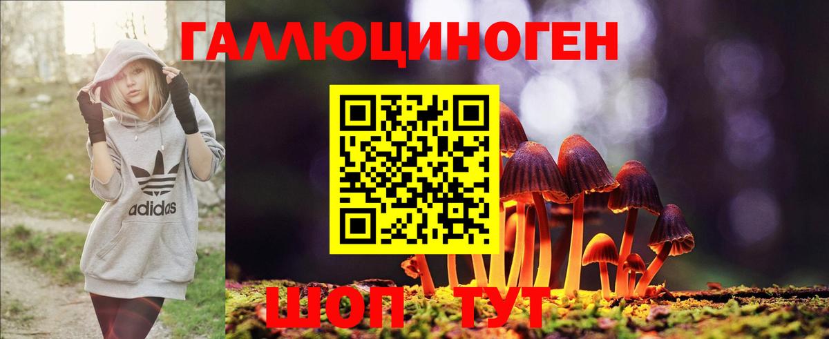 Галлюциногенные грибы GOLDEN TEACHER Павлово